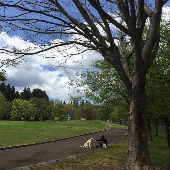 Ae619ae1 fb80 4a2c b5b6 3263801ca083