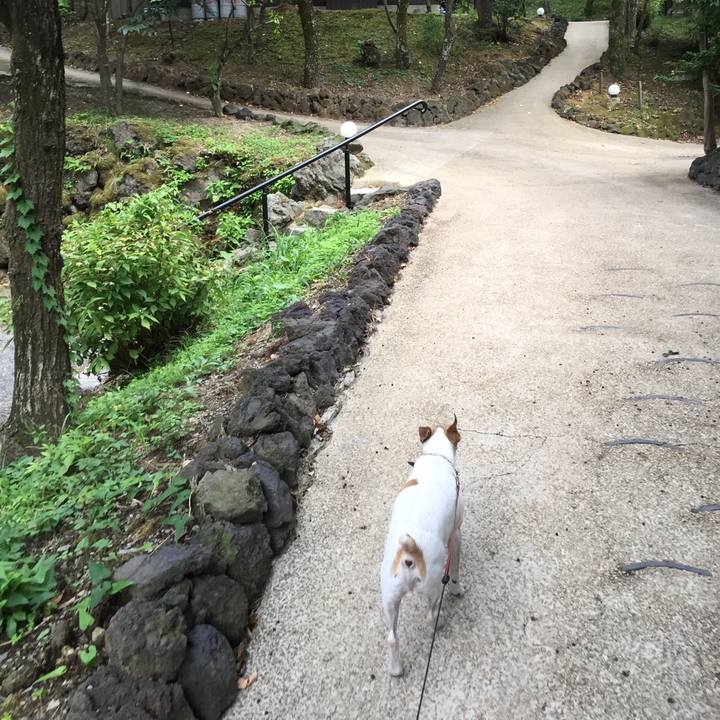 Ae61c0a7 7228 4919 bfe3 8e096ff954bc