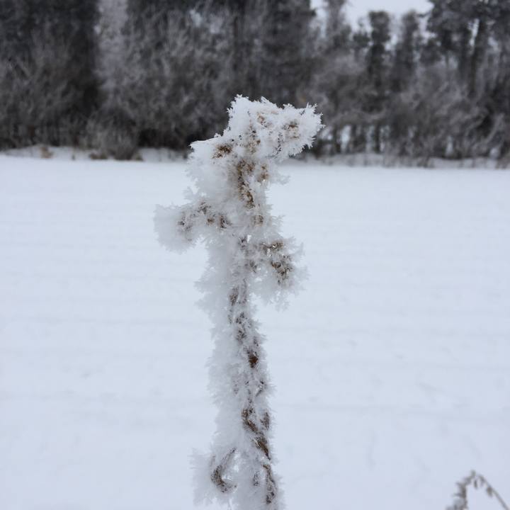 Ae621424 67ad 420d 8b86 be2ed86345d0