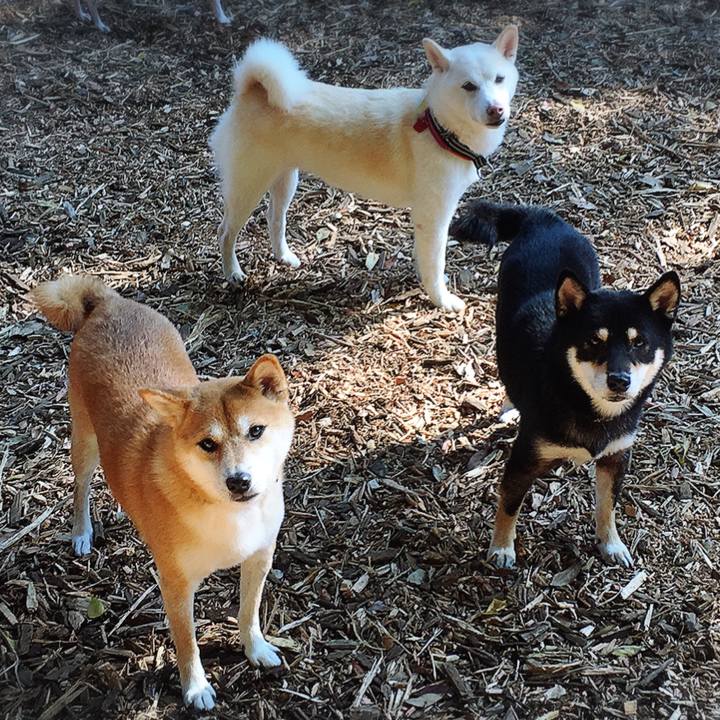 Ae623258 fe01 43dc bdc2 a1390f14570a