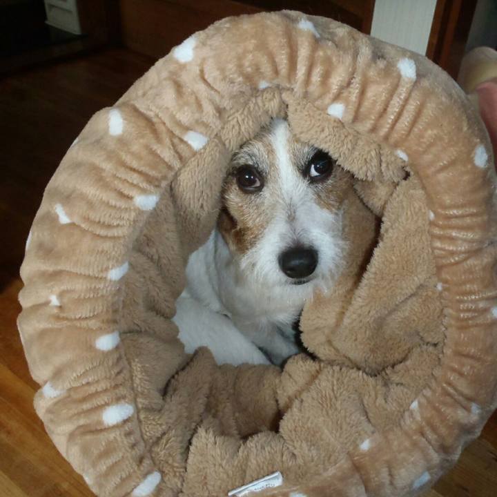 Ae626bf9 db82 4b7e a71f 63d63ca0fe39