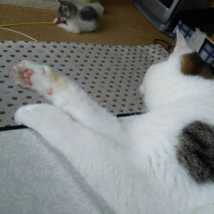 Ae632cf2 4494 4a29 91e5 7b84a87f313c