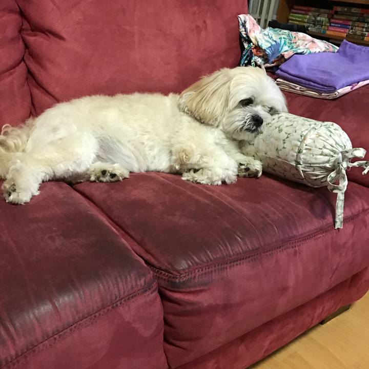 Ae633794 d27e 4b62 b2a0 5d119a7d1ef6