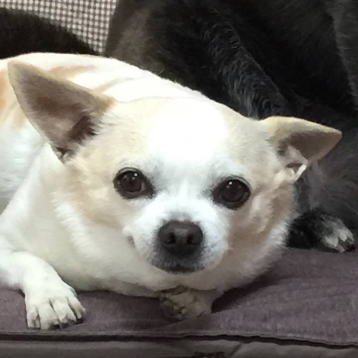 Ae642fcd 93c8 4217 88fa 7d58201dbaaa