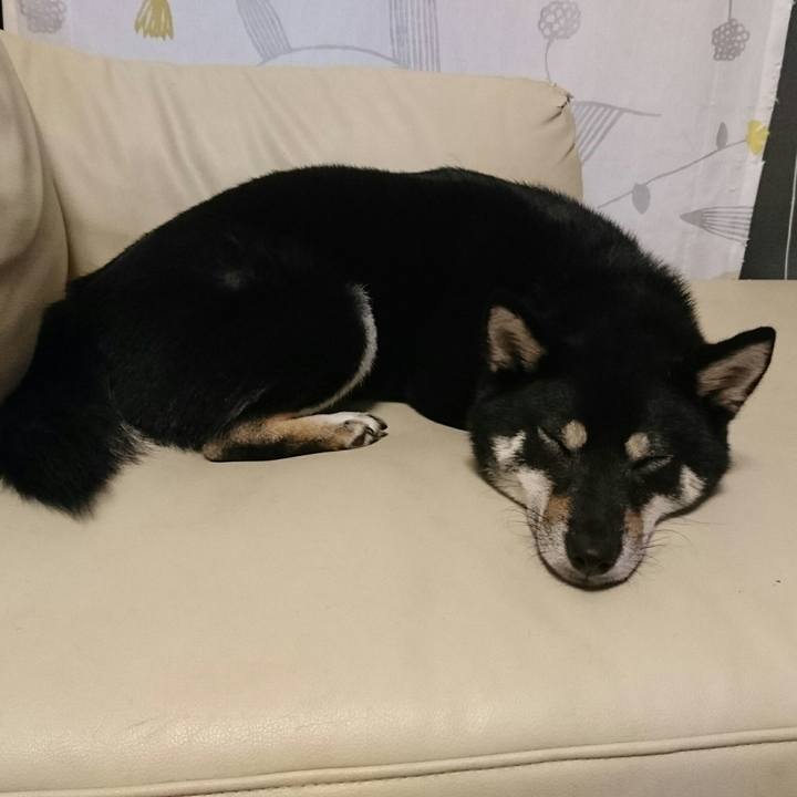 Ae646873 41c4 40ba 8a21 4487329aa3f9