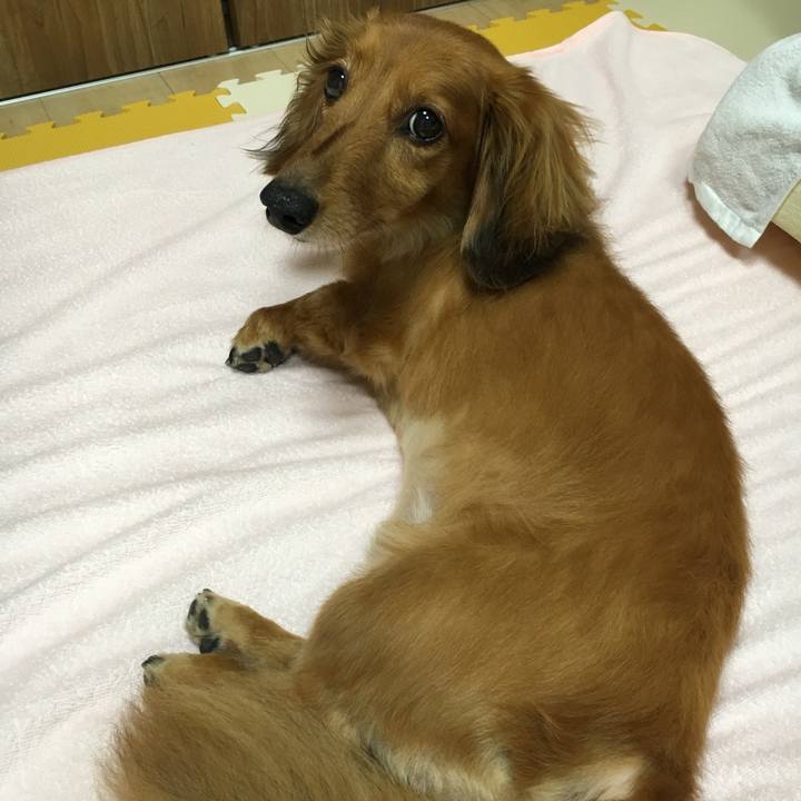 Ae6470b6 6d79 4880 bce2 829424bb3b50