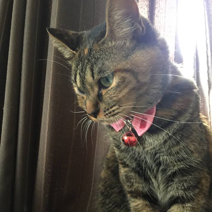 Ae64cd15 a2fc 4dff 9951 bd4e524809d2