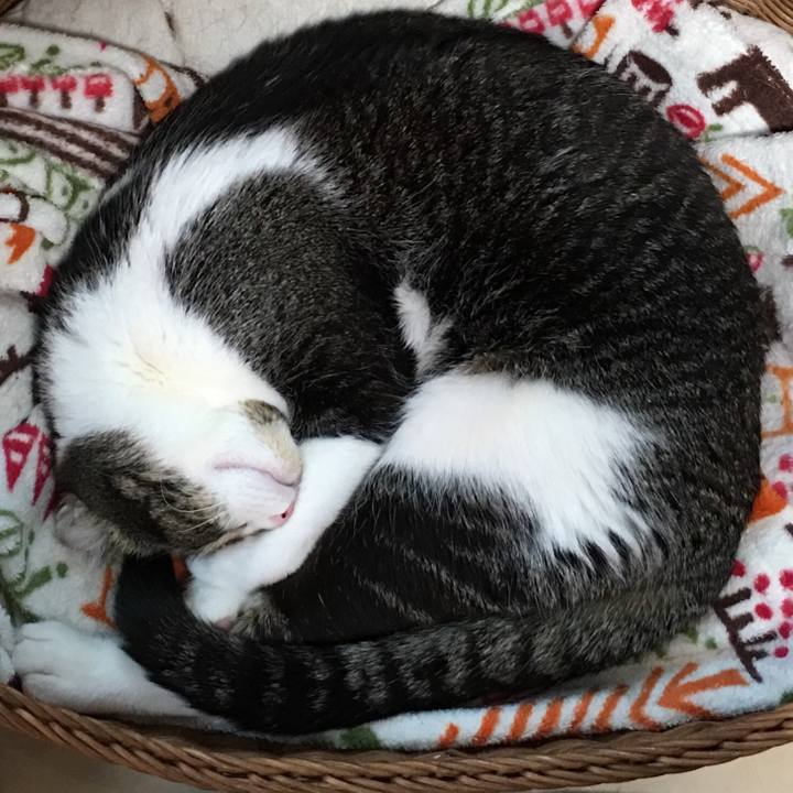 Ae65338c 0b97 46ef b184 05fb50fdee7f