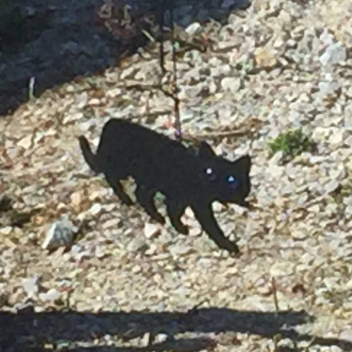 Ae654155 d312 4fba 9e5b 97c35b5c2b58