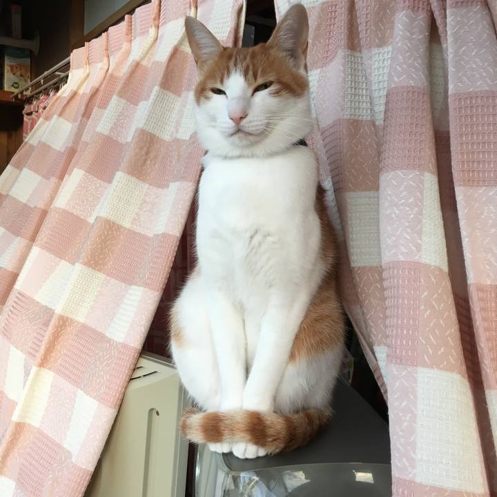 Ae658add 7beb 445b a759 15259588bb5f