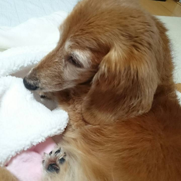 Ae661fc3 bf97 48ff bcf2 4a180e4ad724