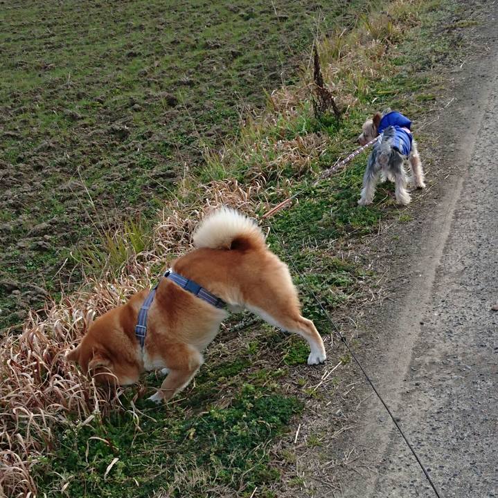 Ae6712a6 ff42 405d 99ca 4c70afd7b9e8