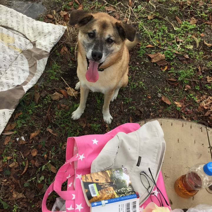 Ae676f9c 616b 45a8 aeda 56340e999afd