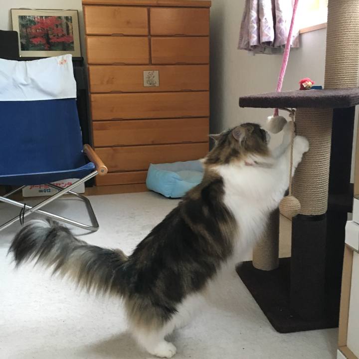 Ae679fe1 cc85 42e6 ae59 09f2087d035c