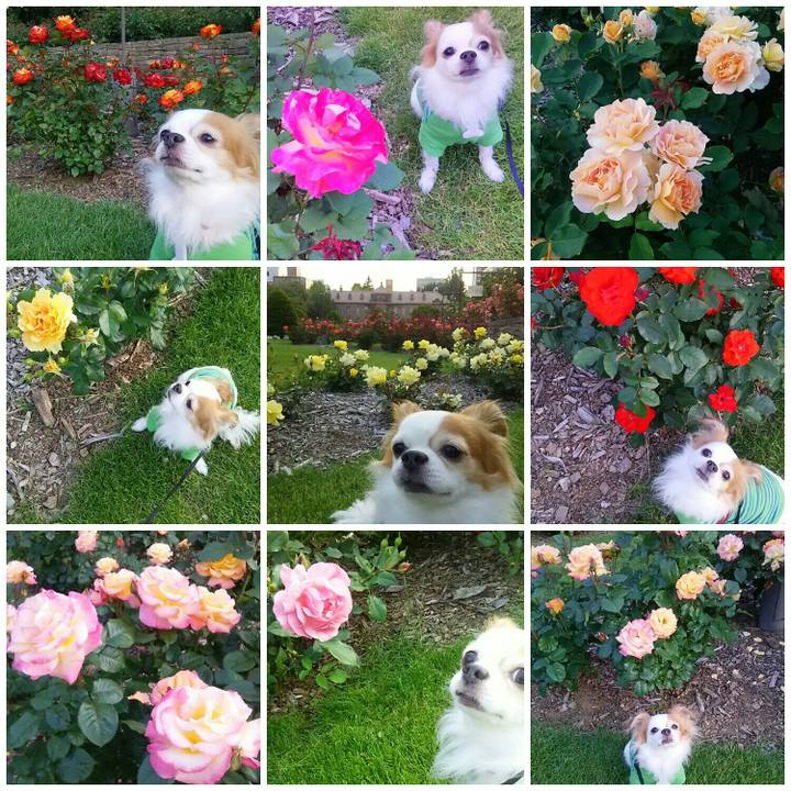 Ae67fa4f 4ada 4b30 ae55 8f89b7b200dd