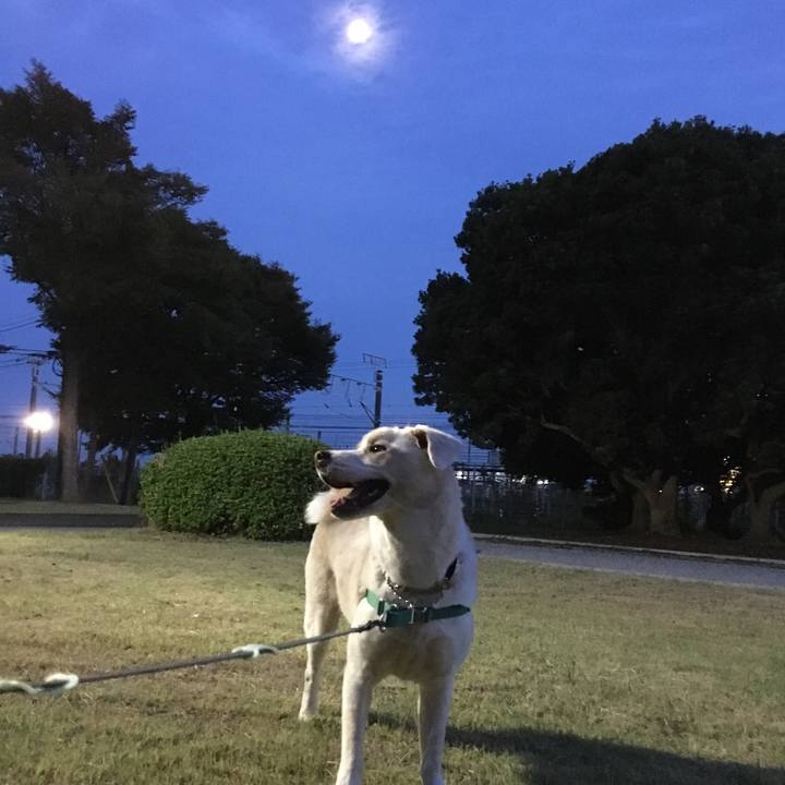 Ae680fae 79b8 4d41 b2ec 2a51c2b8a30d