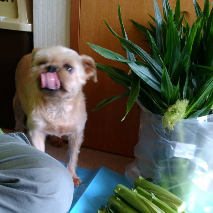 Ae682e29 be17 4034 a852 ba7081394a6b