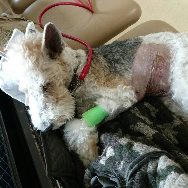 Ae68762e bedb 4e98 9bf6 6617942ac04b