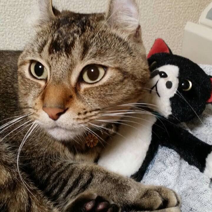 Ae68c297 69e6 4ffc a32f 7eccf6a495e2