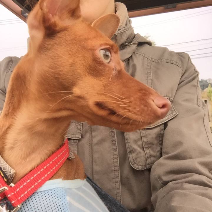 Ae68f2c8 f404 492c 85c6 ddc7c23d142f