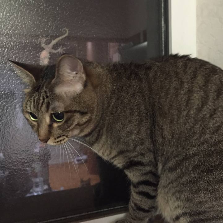 Ae694b50 b789 446c 838d 9e0b45dd54ee