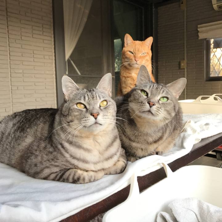 Ae69a3ee 70c2 4c37 8208 8669a3119e15