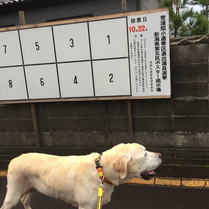 Ae69d4e8 db17 4b80 ba7d 62ae89641066