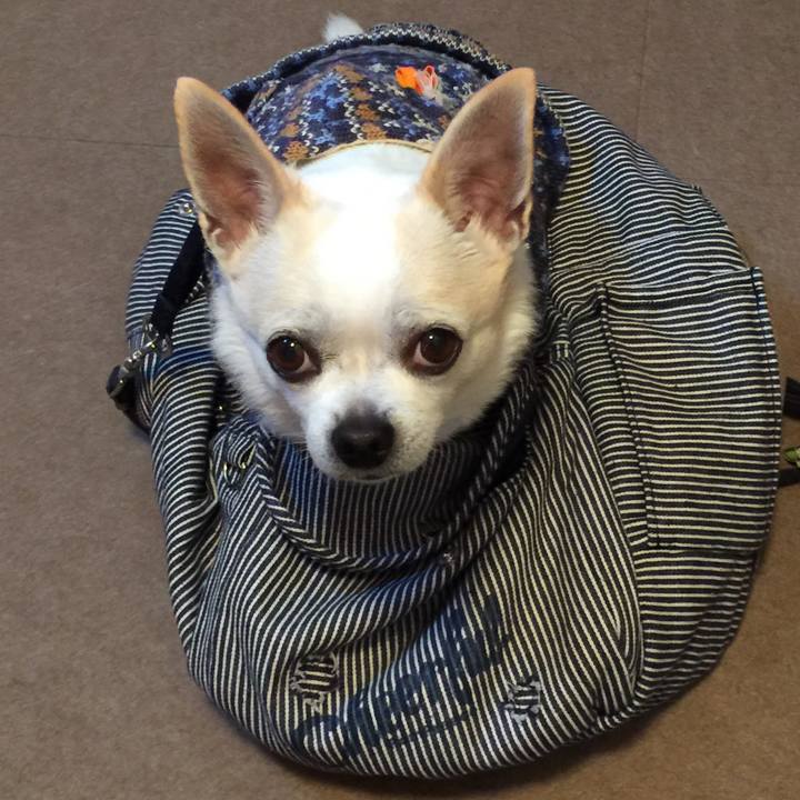 Ae69df25 df1b 4e08 aea5 6c5abe38f4a4