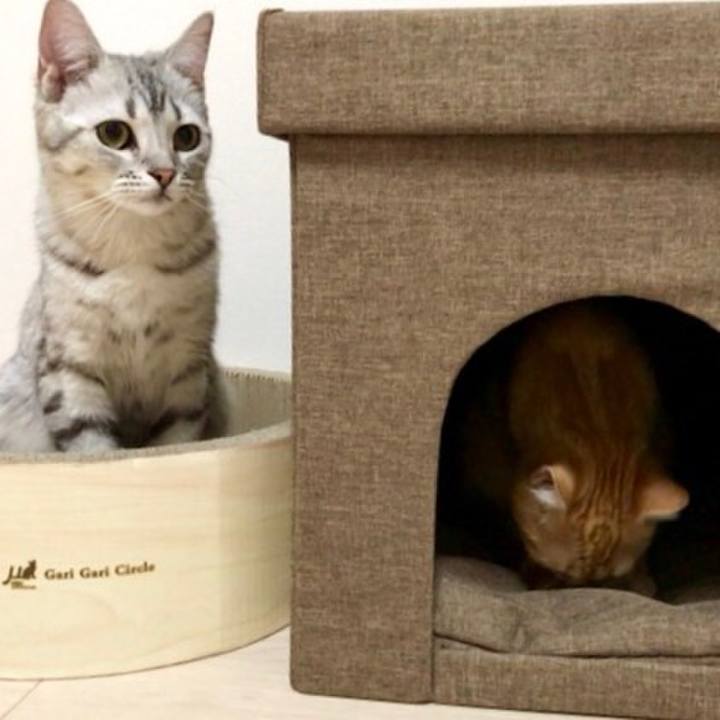 Ae69ef5b 27d7 41f9 b2d8 a9d56c87d111