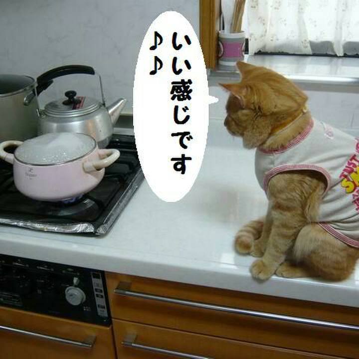 Ae6a395f 09f2 4e92 9210 5ee22fa58f4a