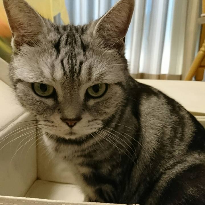 Ae6a48a1 2a61 435f a0e7 ce9b674a4f2c