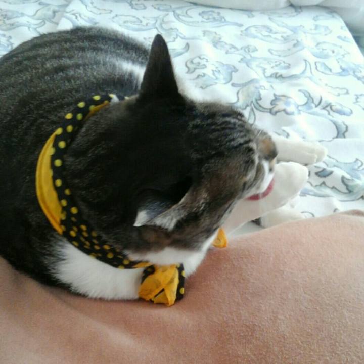 Ae6a4b21 4ad8 4da8 b500 43560476c212