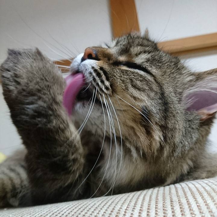 Ae6a8f41 844c 457e 8bde 138d6760cd01