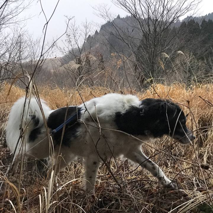 Ae6af4e6 36ed 4e1e bba2 adcc81aa9f30