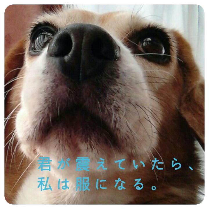 Ae6b3007 2b58 499a b0c5 e112c6c6619c