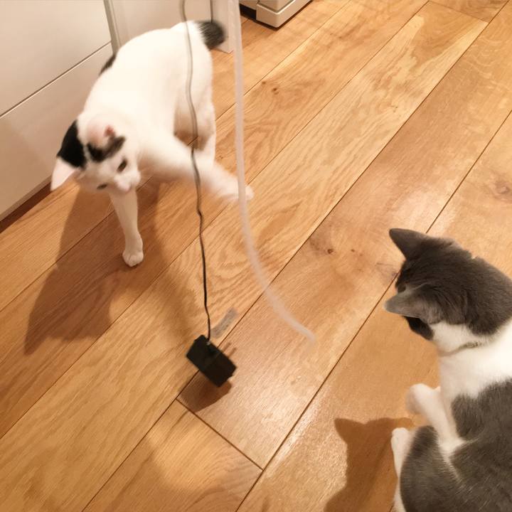 Ae6b55c6 875c 4784 9428 51a5837aafb0