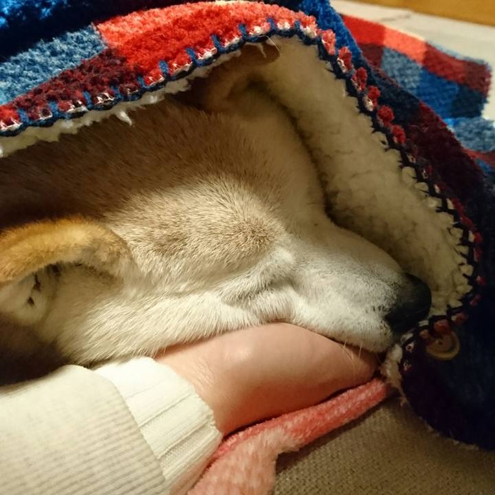 Ae6b771e 2415 415b b1ea 9e54452e64bc