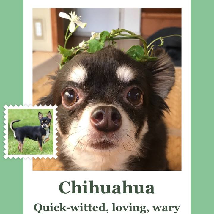 Ae6b8b8a 7695 4ea0 880e 9750f830f85b