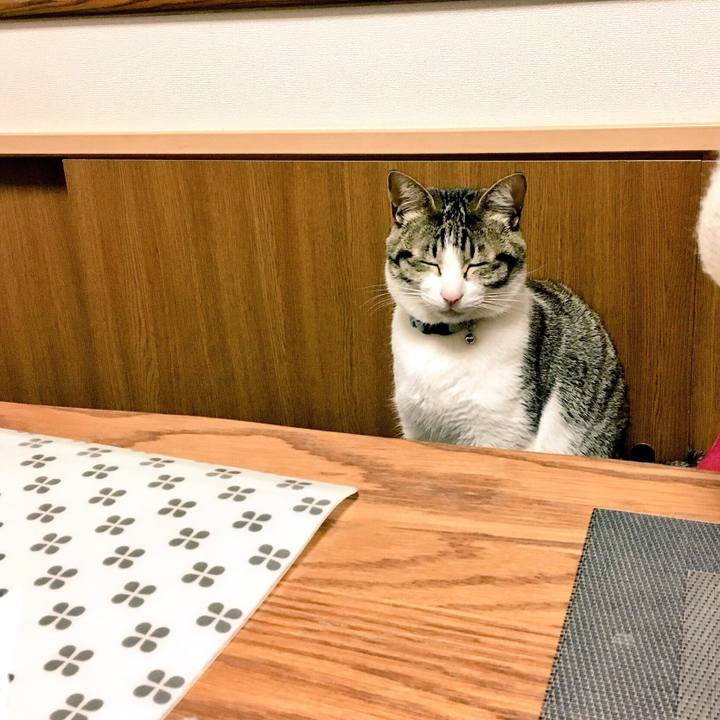 Ae6ba895 0381 4b1b 9909 ab144aa76bbb