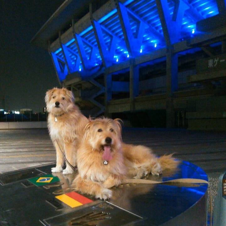 Ae6bb824 0f09 48a8 a452 3d4621d7b22f