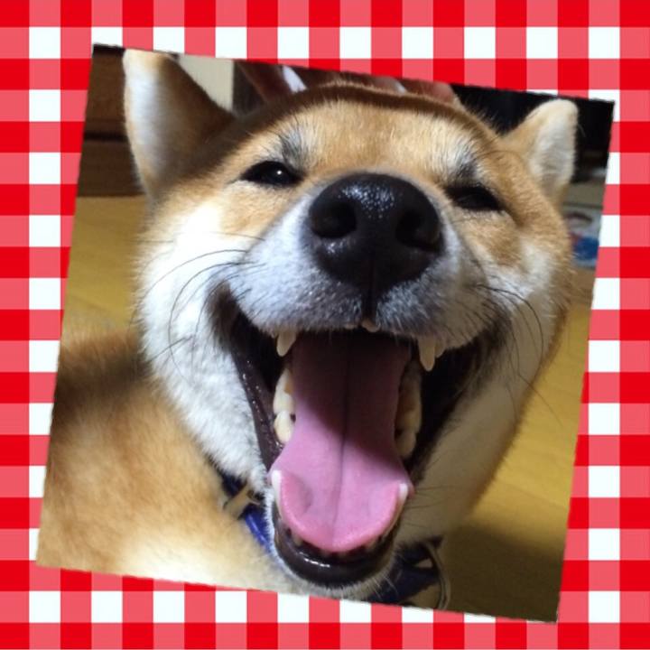 Ae6bdffe 09e2 494a 854e 0831e3102a80