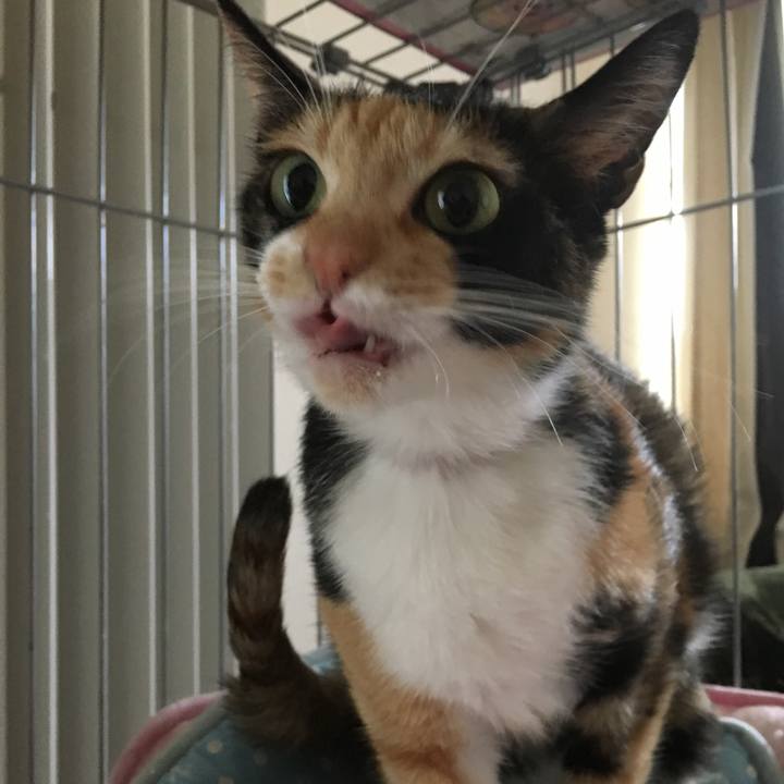 Ae6be07a 765a 4c7c aa26 0fb2ef1d87d1