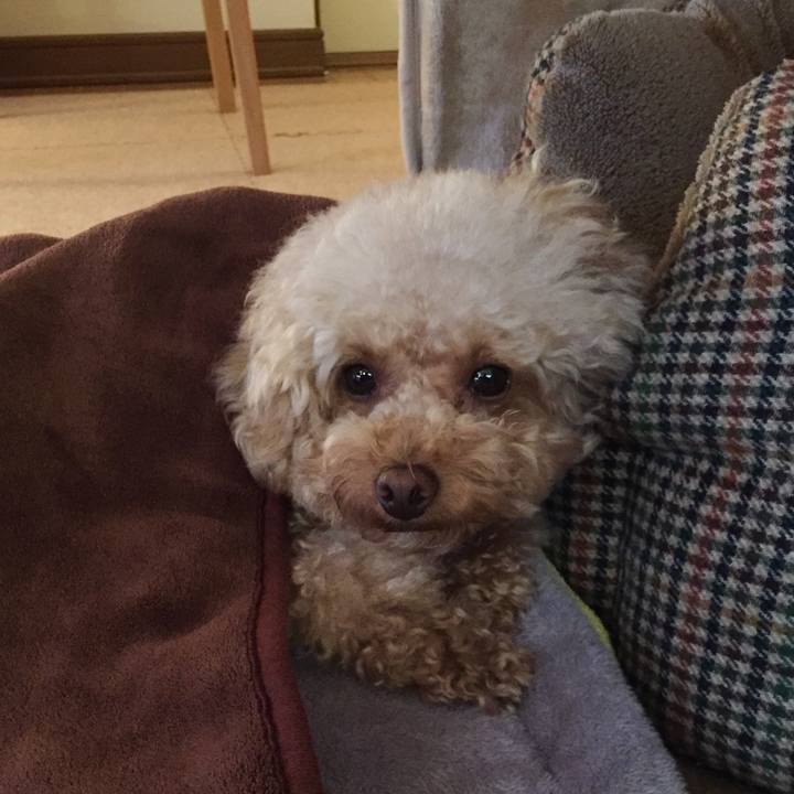 Ae6c4c6d cc41 4426 9b3a 6db9cb3fe773