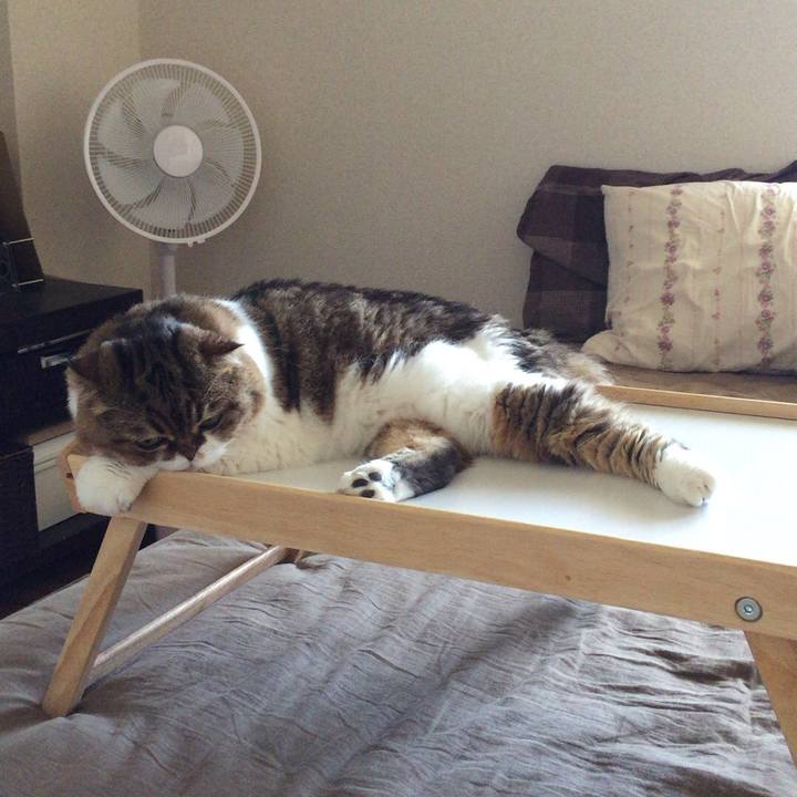 Ae6c9a53 b561 461b 8578 f89600b4fe7b