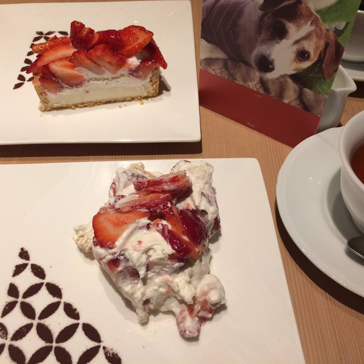 Ae6ca67c 3db7 467e 9adf 071d4a0b99c8