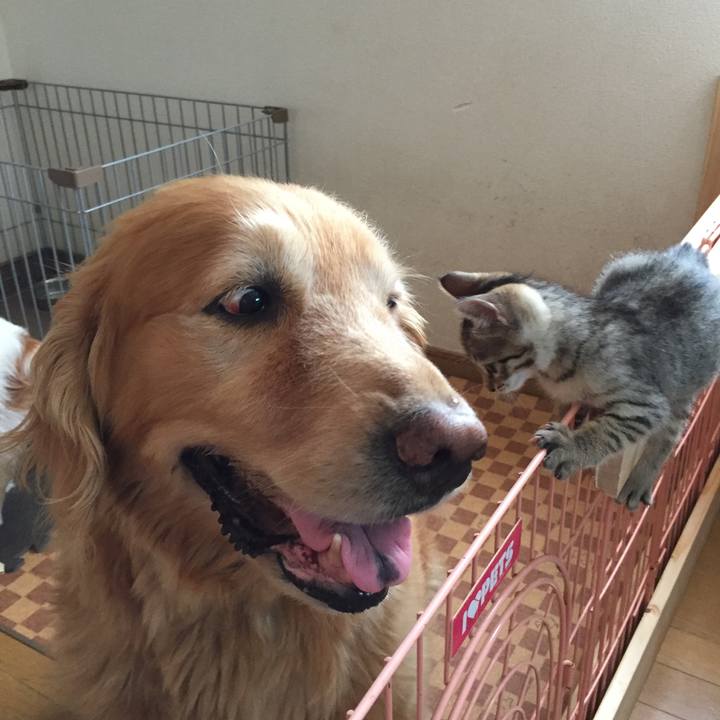 Ae6ccb68 7f50 4ab3 a9a4 9c3c40e87f55