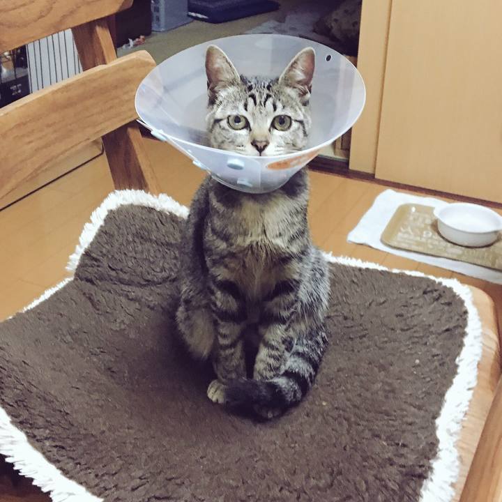 Ae6cd1fe 50d1 4d0b a5db a5a67daf4276