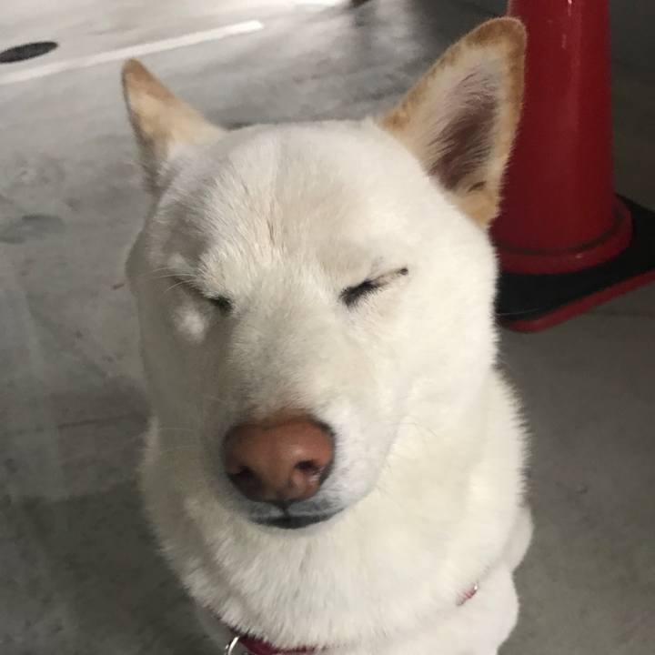 Ae6d5402 f1c0 4e64 8d78 93619fecdc48