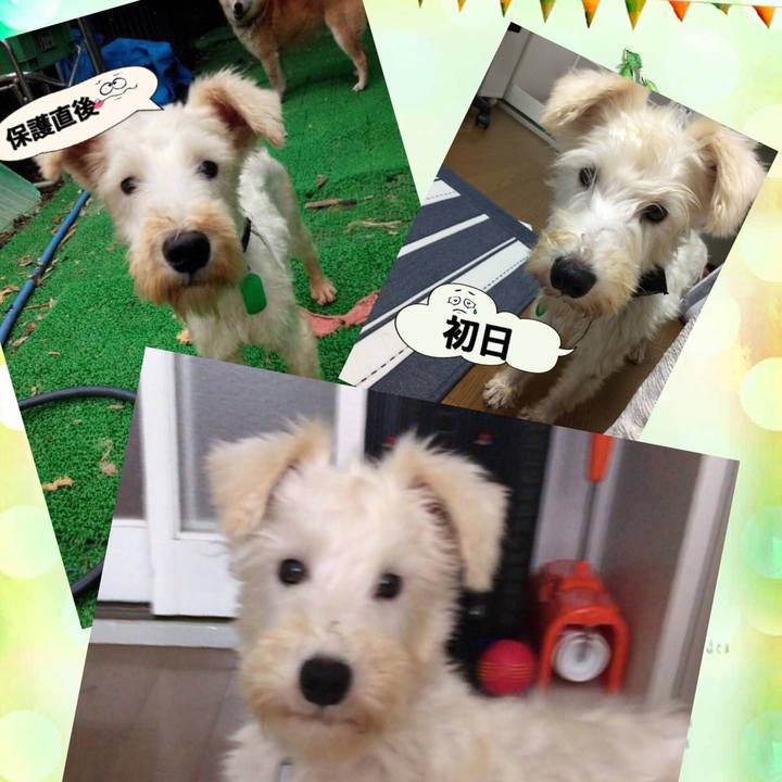 Ae6df847 ae90 4d2b 9b84 18ec6212fbf7