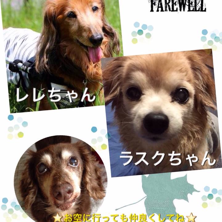 Ae6dfa3c 3ac8 4581 86a8 6d2fb44ba967